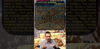 Bits of Torah Truths – #Torah Concept in the NT: Prove All Things – Episode 665