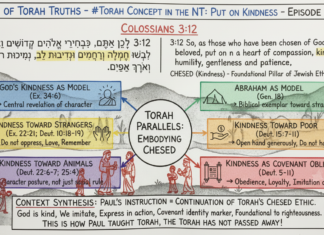 Bits of Torah Truths – #Torah Concept in the NT: Put On Kindness – Episode 686