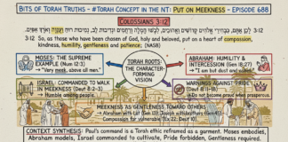 Bits of Torah Truths – #Torah Concept in the NT: Put On Meekness – Episode 688