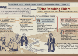 Bits of Torah Truths – #Torah Concept in the NT: Do not rebuke Elders – Episode 693