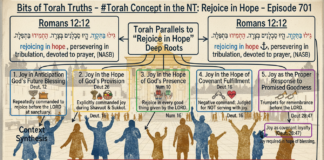 Bits of Torah Truths – #Torah Concept in the NT: Rejoice in Hope – Episode 701