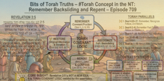 Bits of Torah Truths – #Torah Concept in the NT: Remember Backsliding and Repent – Episode 709