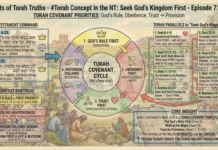 Bits of Torah Truths – #Torah Concept in the NT: Seek God’s Kingdom First – Episode 710