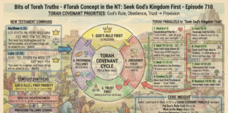 Bits of Torah Truths – #Torah Concept in the NT: Seek God’s Kingdom First – Episode 710