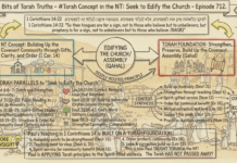 Bits of Torah Truths – #Torah Concept in the NT: Seek to Edify the Church – Episode 712