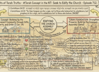 Bits of Torah Truths – #Torah Concept in the NT: Seek to Edify the Church – Episode 712