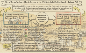 Bits of Torah Truths – #Torah Concept in the NT: Seek to Edify the Church – Episode 712