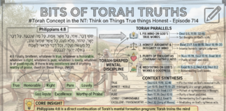 Bits of Torah Truths – #Torah Concept in the NT: Think on Things True and Honest – Episode 714