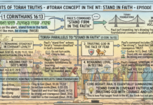 Bits of Torah Truths – #Torah Concept in the NT: Stand in Faith – Episode 719