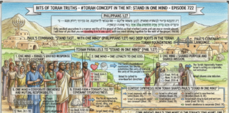 Bits of Torah Truths – #Torah Concept in the NT: Stand in One mind – Episode 722