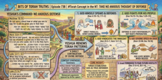 Bits of Torah Truths – #Torah Concept in the NT: Take No Anxious Thought of Defense – Episode 738