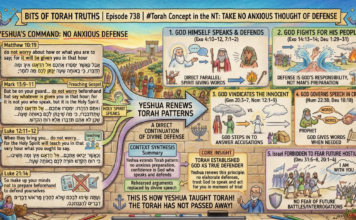 Bits of Torah Truths – #Torah Concept in the NT: Take No Anxious Thought of Defense – Episode 738