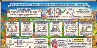 Bits of Torah Truths – #Torah Concept in the NT: Submit One to Another – Episode 731