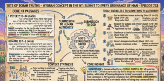 Bits of Torah Truths – #Torah Concept in the NT: Submit to Every Ordinance of Man – Episode 733