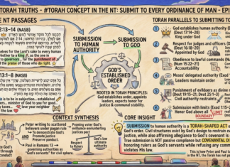 Bits of Torah Truths – #Torah Concept in the NT: Submit to Every Ordinance of Man – Episode 733
