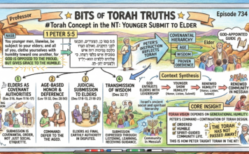 Bits of Torah Truths – #Torah Concept in the NT: Younger Submit to Elder – Episode 734