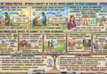 Bits of Torah Truths – #Torah Concept in the NT: Wives Submit to Your Husbands – Episode 735