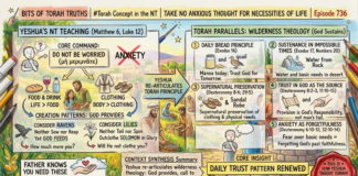 Bits of Torah Truths – #Torah Concept in the NT: Take No Anxious Thought for Necessities of Life – Episode 736