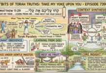 Bits of Torah Truths – #Torah Concept in the NT: Take My Yoke upon You – Episode 739