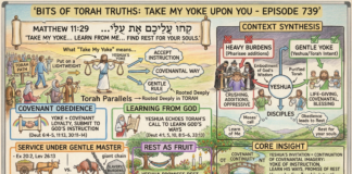 Bits of Torah Truths – #Torah Concept in the NT: Take My Yoke upon You – Episode 739