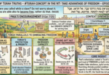 Bits of Torah Truths – #Torah Concept in the NT: Take Advantage of Freedom – Episode 740
