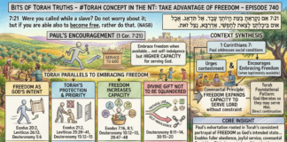 Bits of Torah Truths – #Torah Concept in the NT: Take Advantage of Freedom – Episode 740