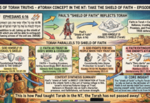 Bits of Torah Truths – #Torah Concept in the NT: Take the Shield of Faith – Episode 742