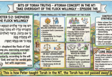 Bits of Torah Truths – #Torah Concept in the NT: Take Oversight of the flock willingly – Episode 745