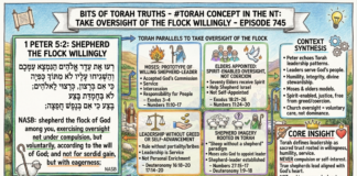 Bits of Torah Truths – #Torah Concept in the NT: Take Oversight of the flock willingly – Episode 745