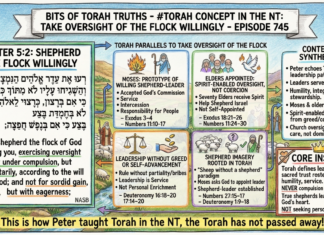Bits of Torah Truths – #Torah Concept in the NT: Take Oversight of the flock willingly – Episode 745
