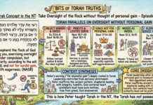 Bits of Torah Truths – #Torah Concept in the NT: Take Oversight of the flock w/o thought of personal gain – Episode 746