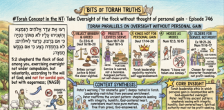 Bits of Torah Truths – #Torah Concept in the NT: Take Oversight of the flock w/o thought of personal gain – Episode 746