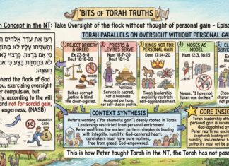 Bits of Torah Truths – #Torah Concept in the NT: Take Oversight of the flock w/o thought of personal gain – Episode 746