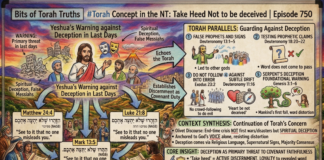 Bits of Torah Truths – #Torah Concept in the NT: Take Heed Not to be deceived – Episode 750