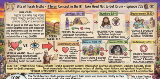 Bits of Torah Truths – #Torah Concept in the NT: Take Heed Not to Get Drunk – Episode 755
