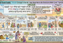 Bits of Torah Truths – #Torah Concept in the NT: Take Heed Not to Be Overcome With Cares – Episode 757