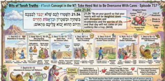 Bits of Torah Truths – #Torah Concept in the NT: Take Heed Not to Be Overcome With Cares – Episode 757