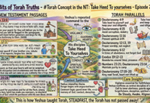 Bits of Torah Truths – #Torah Concept in the NT: Take Heed To yourselves – Episode 758