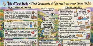Bits of Torah Truths – #Torah Concept in the NT: Take Heed To yourselves – Episode 758
