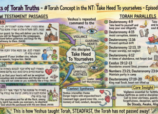 Bits of Torah Truths – #Torah Concept in the NT: Take Heed To yourselves – Episode 758