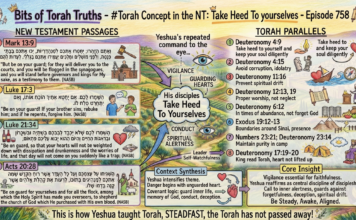 Bits of Torah Truths – #Torah Concept in the NT: Take Heed To yourselves – Episode 758