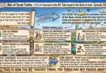Bits of Torah Truths – #Torah Concept in the NT: Take heed to the flock of God – Episode 759