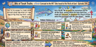 Bits of Torah Truths – #Torah Concept in the NT: Take heed to the flock of God – Episode 759
