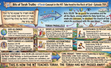 Bits of Torah Truths – #Torah Concept in the NT: Take heed to the flock of God – Episode 759