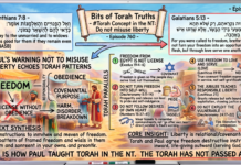 Bits of Torah Truths – #Torah Concept in the NT: Do not misuse liberty – Episode 760