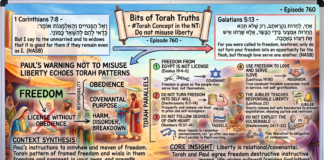 Bits of Torah Truths – #Torah Concept in the NT: Do not misuse liberty – Episode 760
