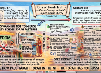 Bits of Torah Truths – #Torah Concept in the NT: Do not misuse liberty – Episode 760