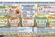Bits of Torah Truths – #Torah Concept in the NT: Take Heed That you destroy not one another – Episode 763