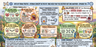 Bits of Torah Truths – #Torah Concept in the NT: Take Heed That you destroy not one another – Episode 763