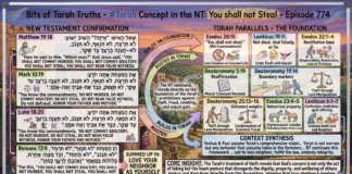 Bits of Torah Truths – #Torah Concept in the NT: You shall not Steal – Episode 774